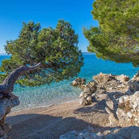 Apartman King Makarska Eksteriør billede